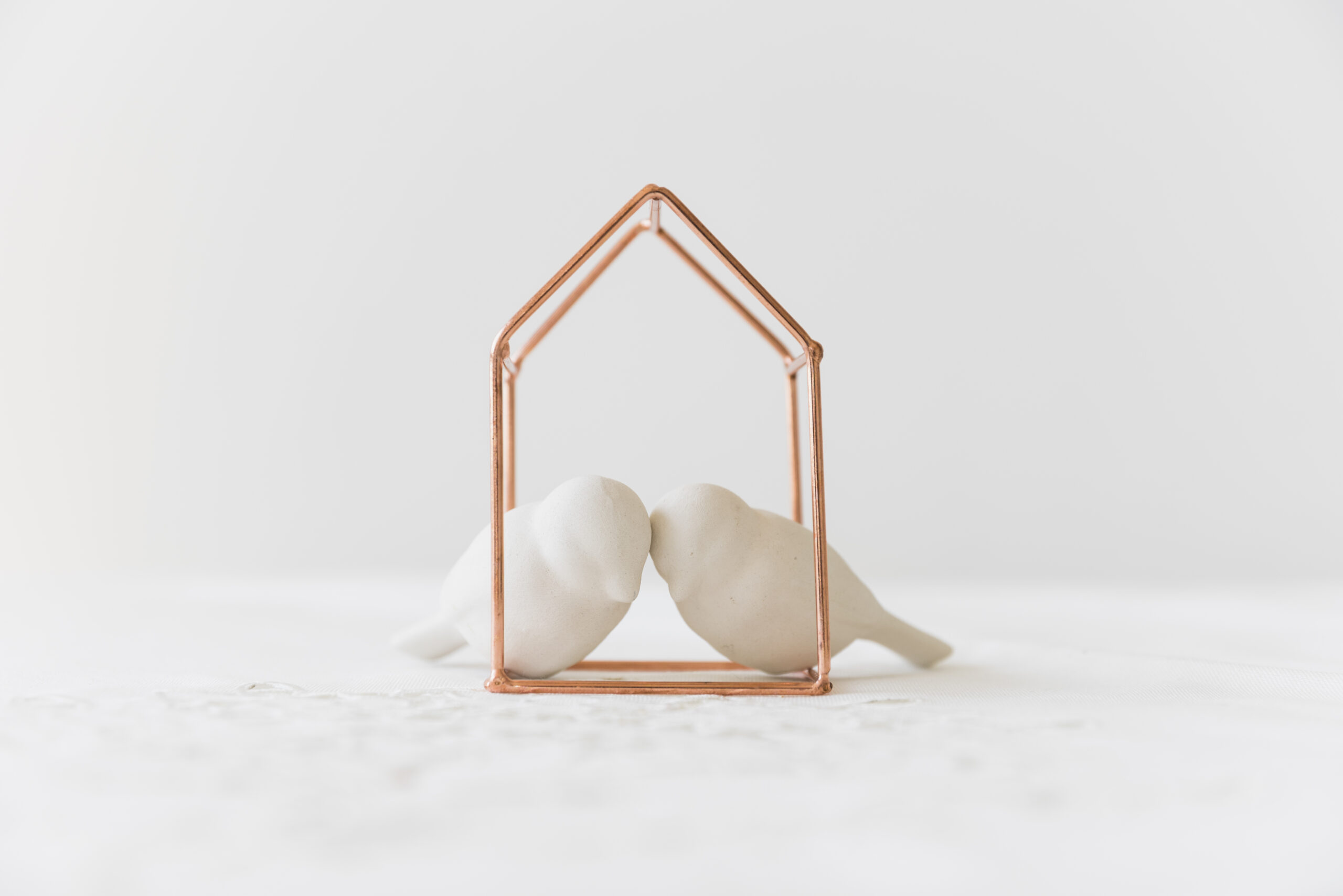 deux-tourtereaux-blancs-dans-une-maison-en-metal