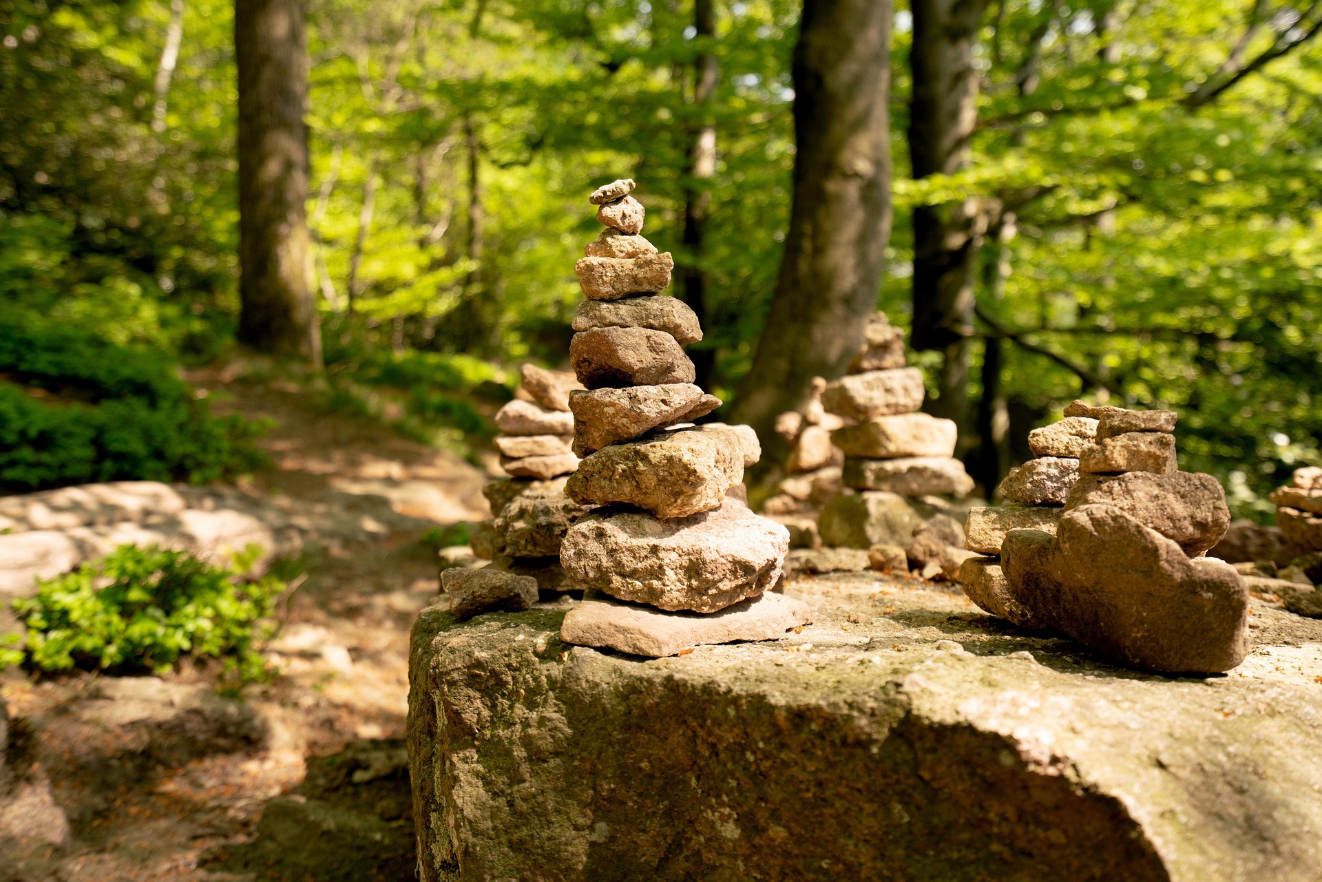 nature-3350757_1920